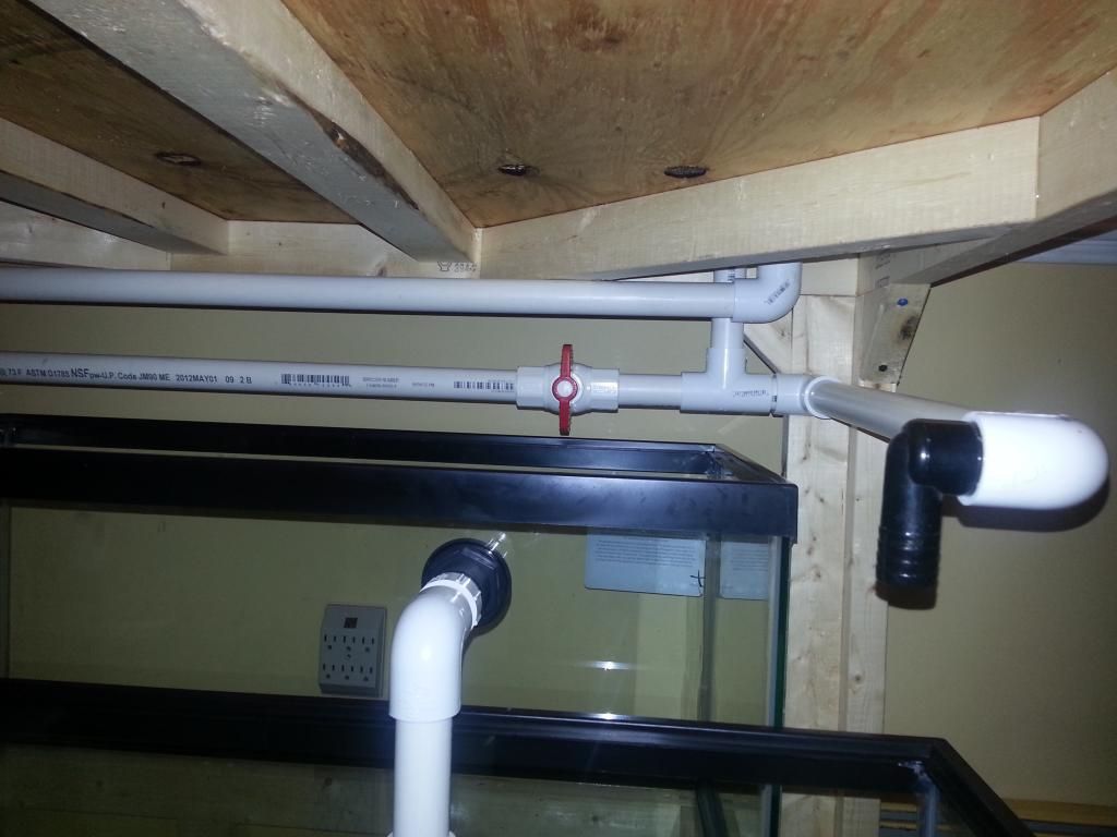 20121207_060535.jpg