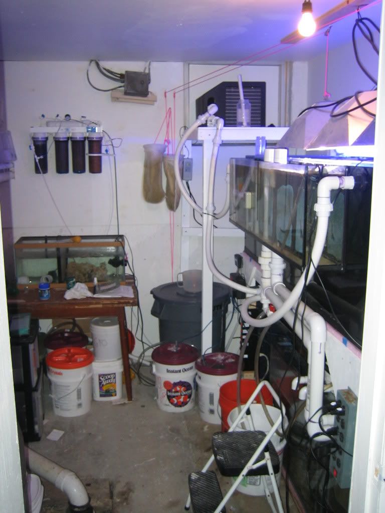 TankRoom.jpg