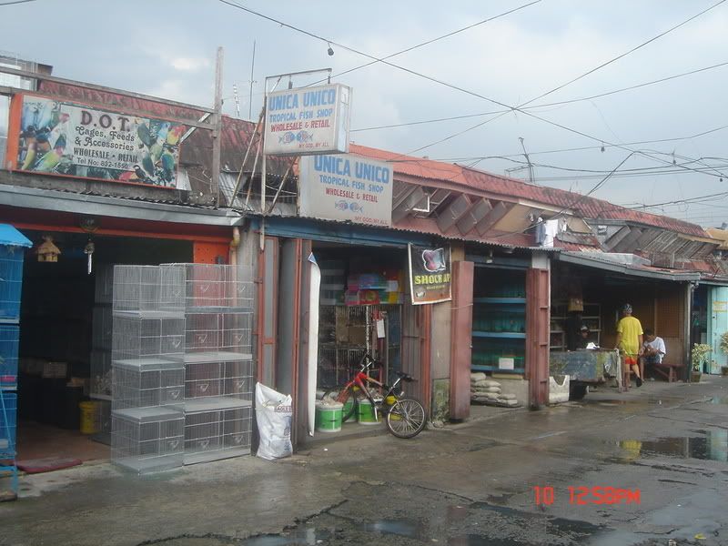DSC08584.jpg