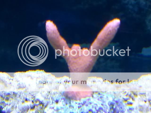 CAM00592.jpg