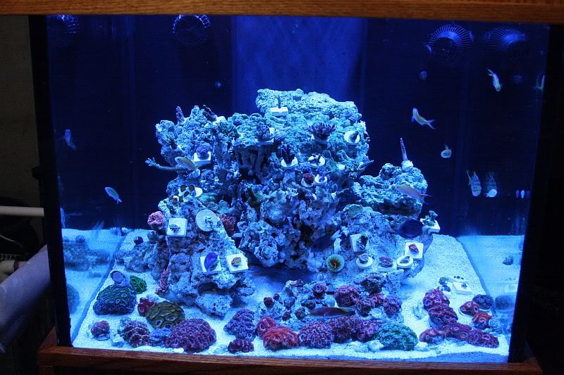 005-7.jpg