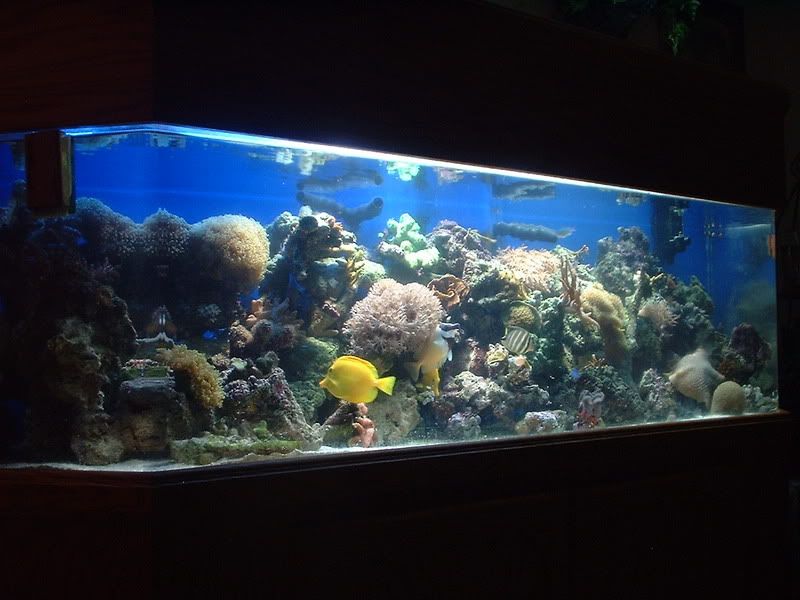 DSCF0004.jpg
