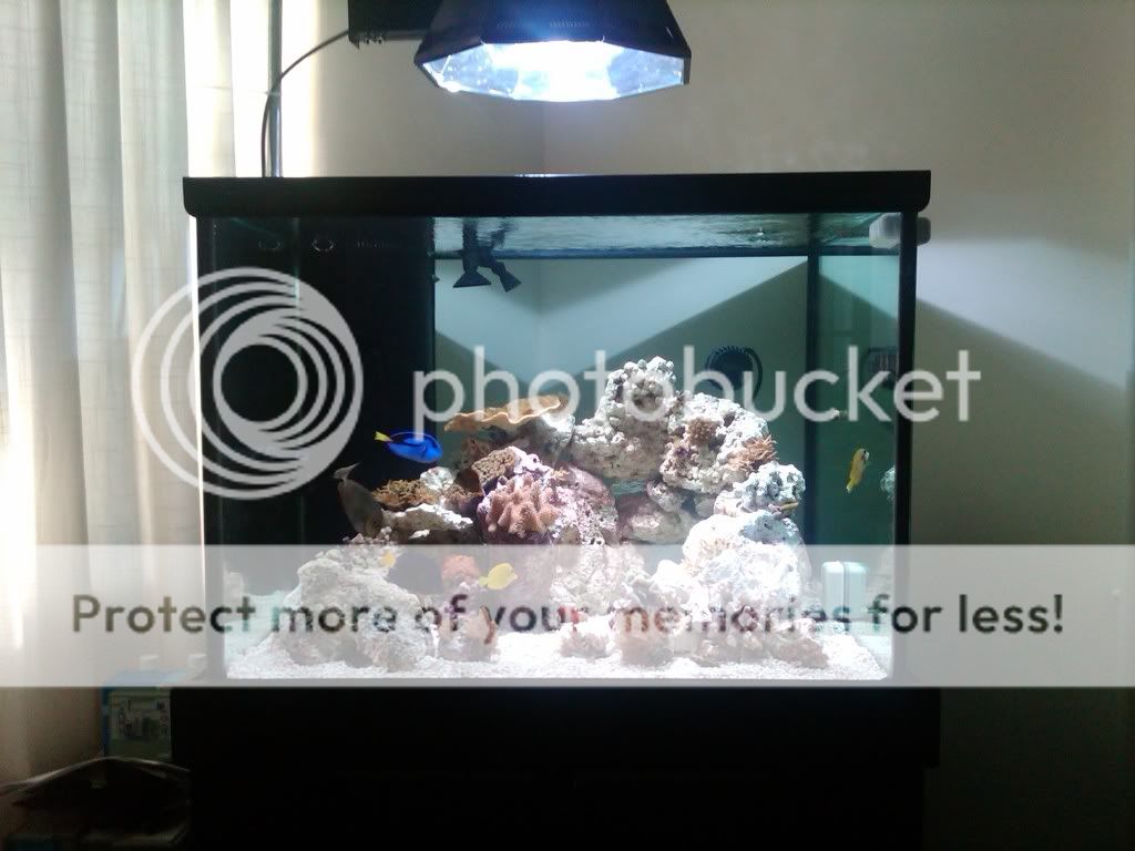 IMG00063-20100301-1501.jpg