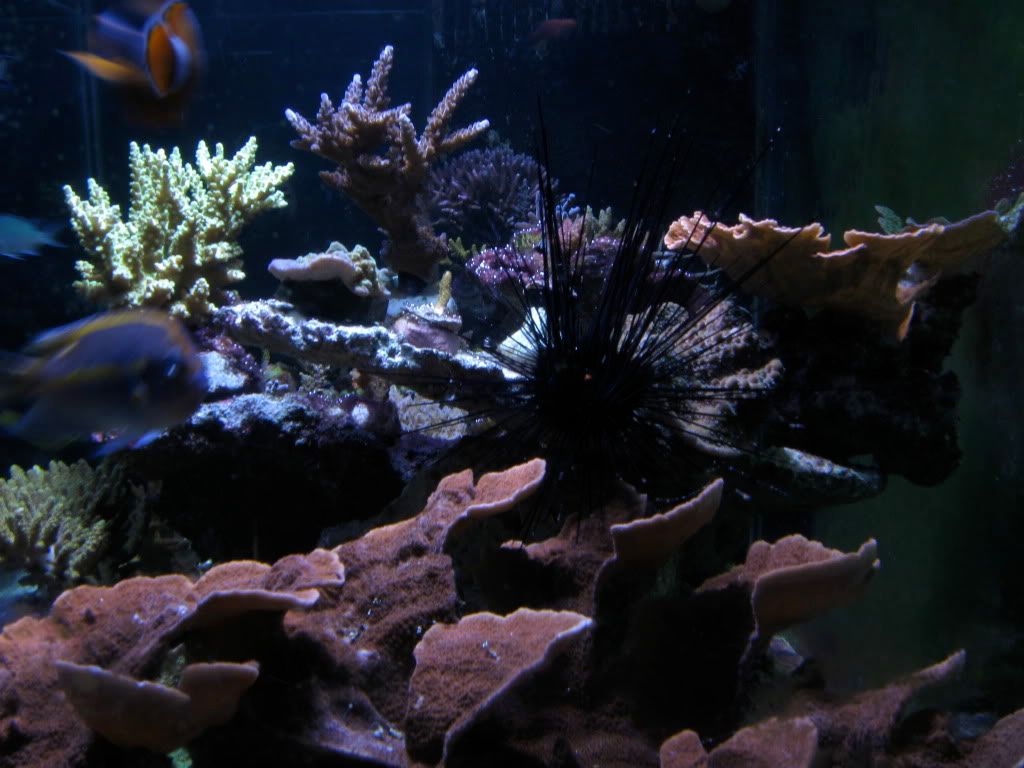 IMG_0675.jpg