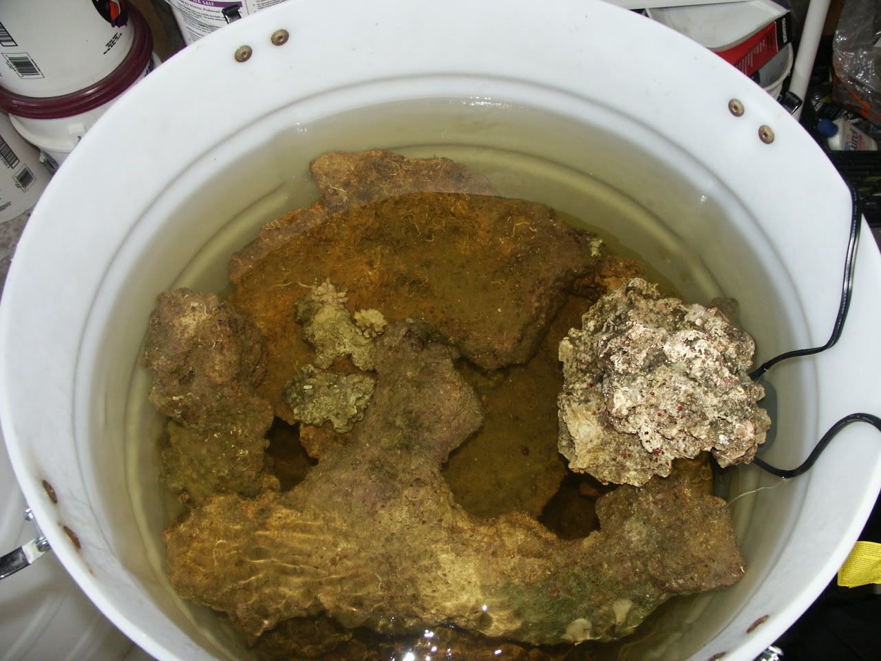 PICT0149.jpg