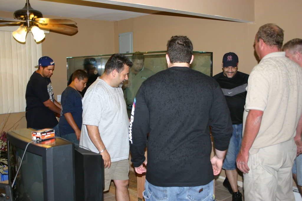 IMG_1187.jpg