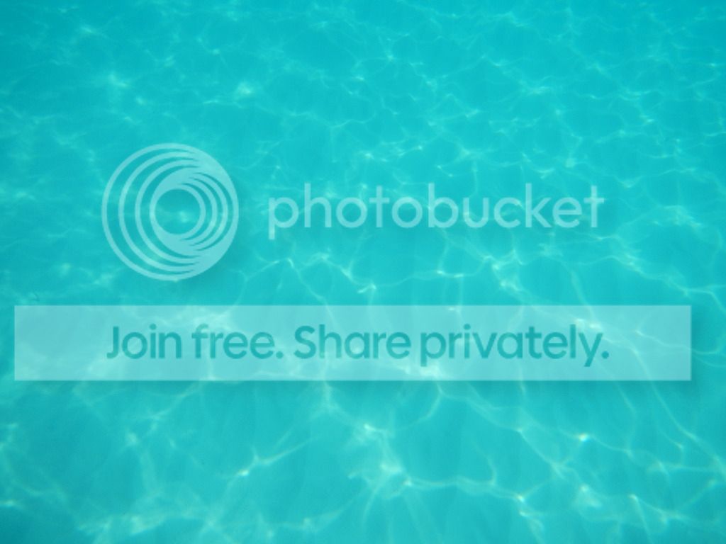 DSCN0465.jpg