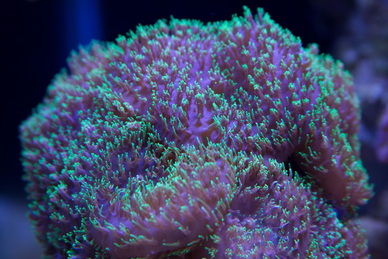 AQ1E9726-2.jpg