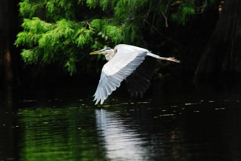 DSC_0220.jpg