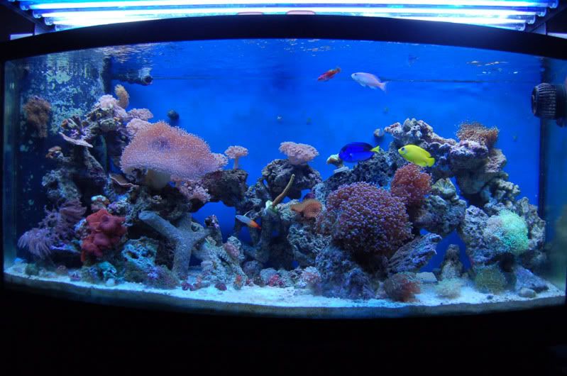 FTS-1.jpg