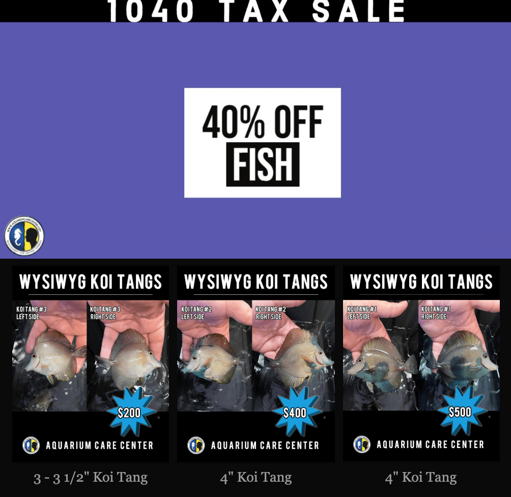YpRV4aA.png