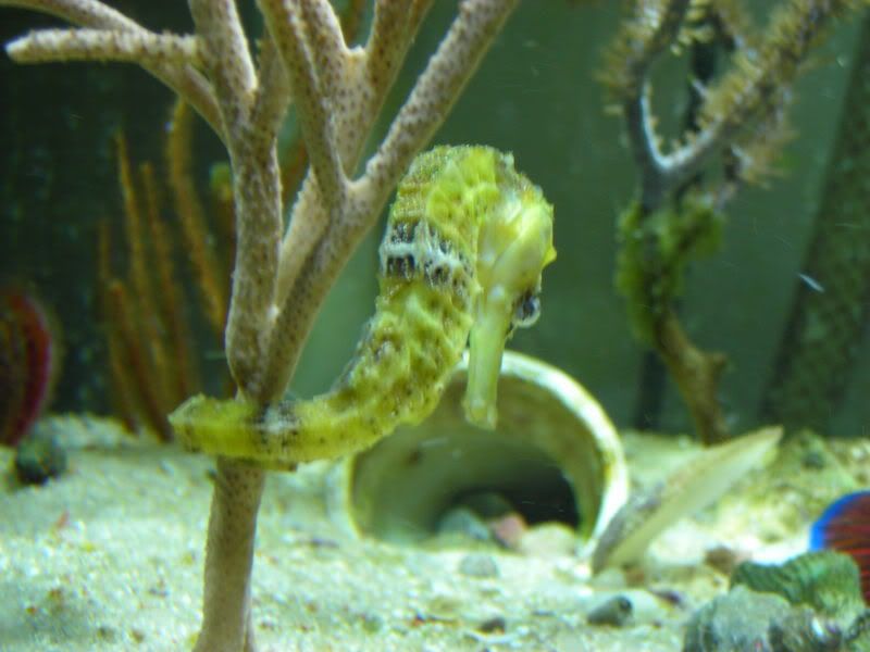 DSCN2164.jpg