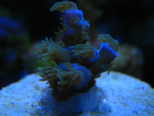 IMG_3264.jpg