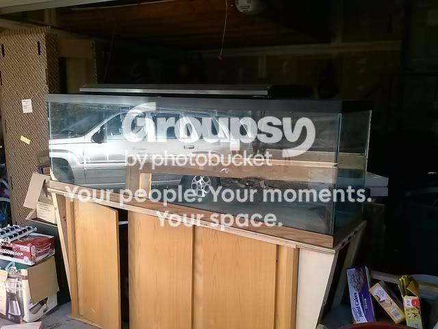 CAM00204.jpg