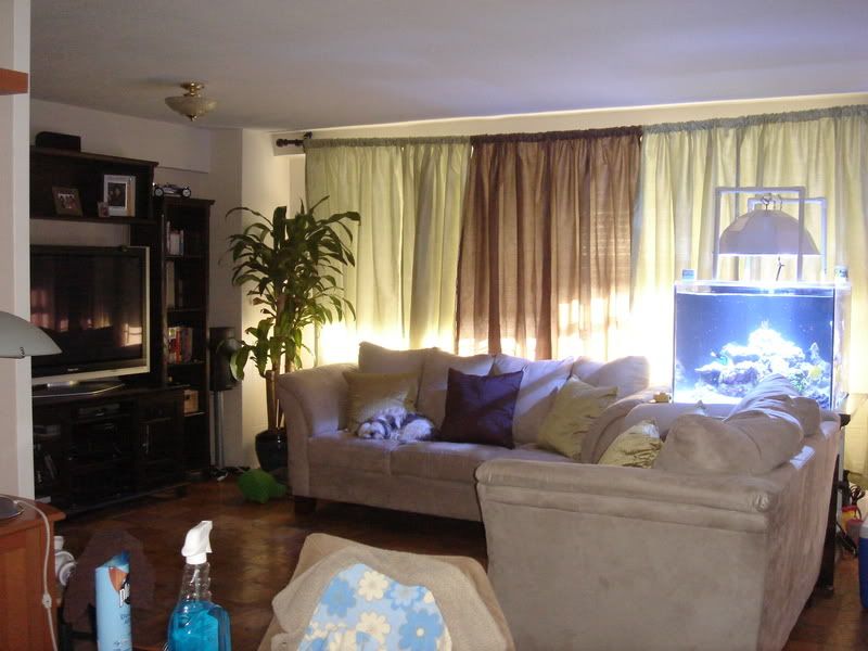 2008_0323100g-square0024.jpg