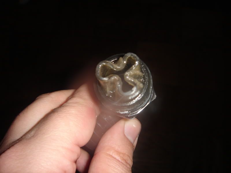 2007_1127AquaC_EV2400007.jpg
