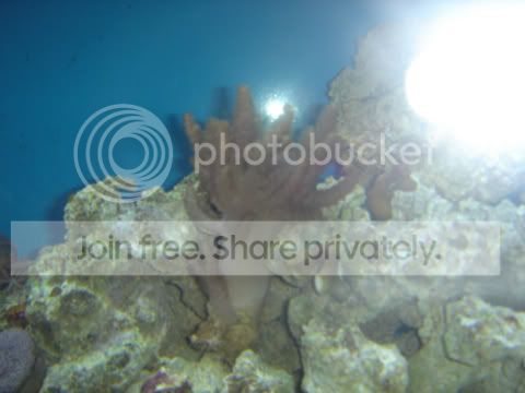 DSC01448.jpg