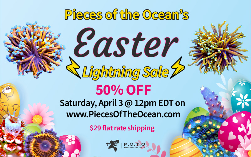 easter-lightning-sale.jpg