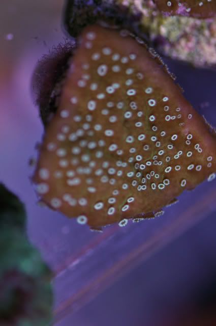 DSC_1136_edited-1.jpg