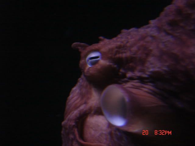 DSC01373.jpg