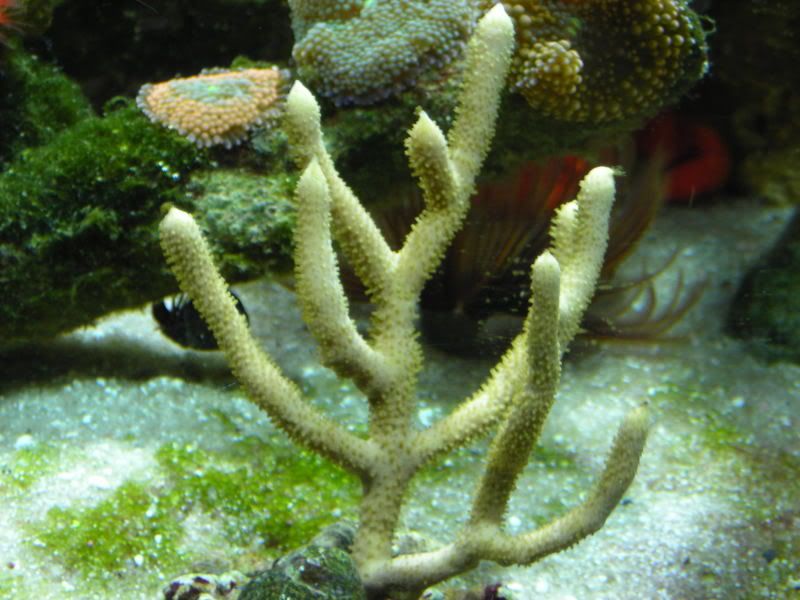 DSCN2105.jpg