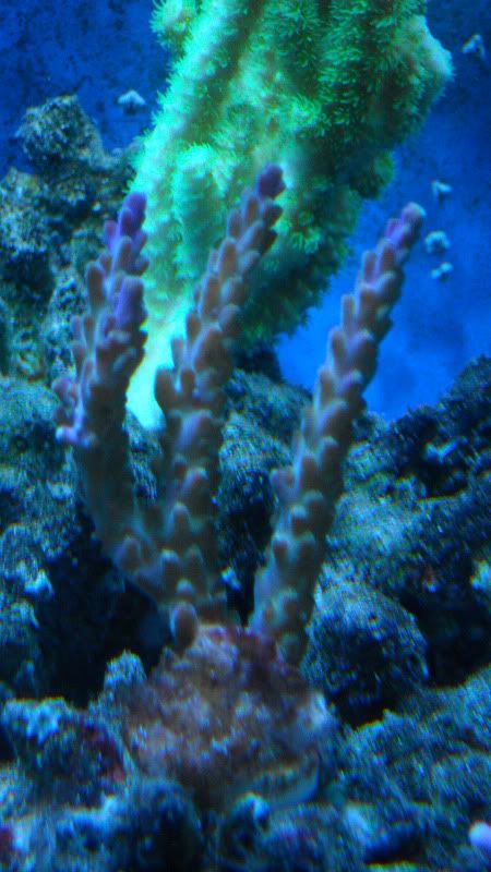 DSCN1497.jpg