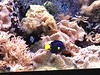 37297310291_067c50e58c_t.jpg