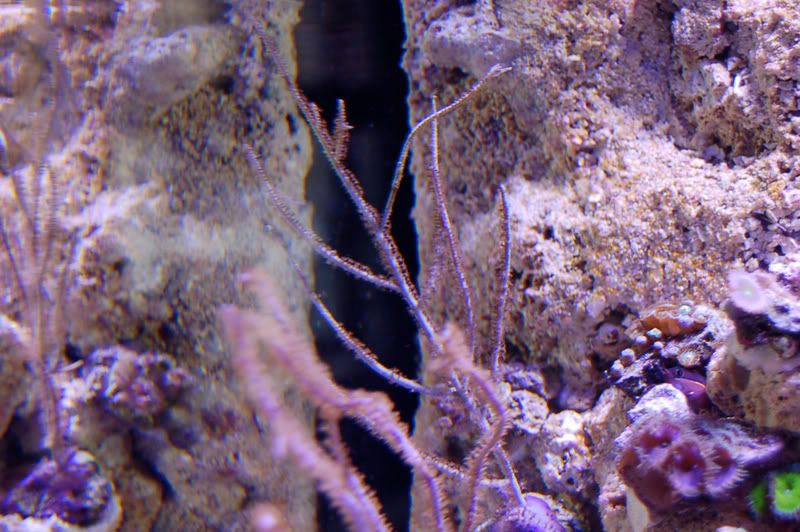 DSC_0038.jpg
