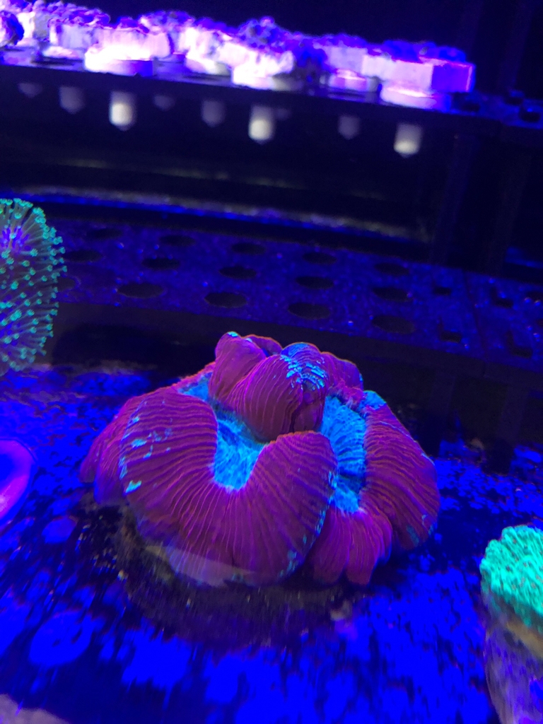 0928ccfd61ce2632928ca06d06a1e549.jpg