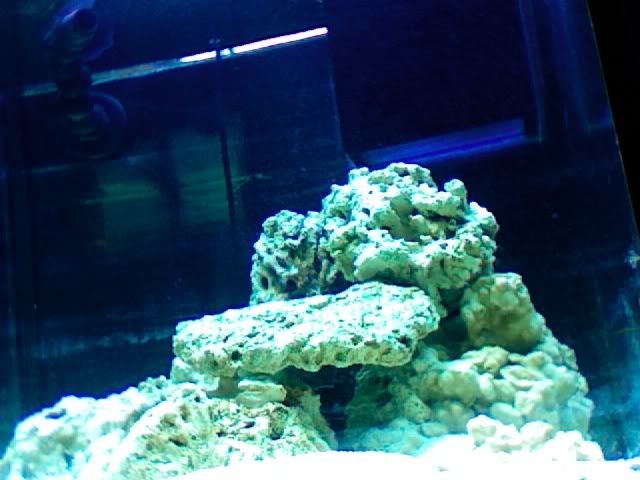 Photo4.jpg