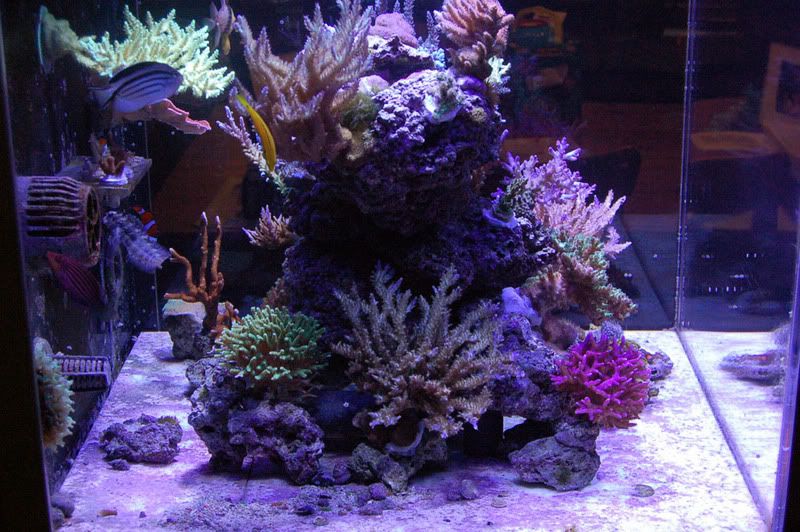 DSC_0006.jpg