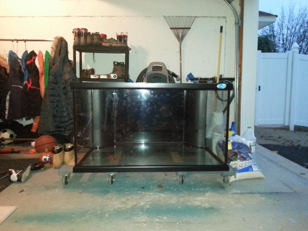 20121119_164820-1.jpg
