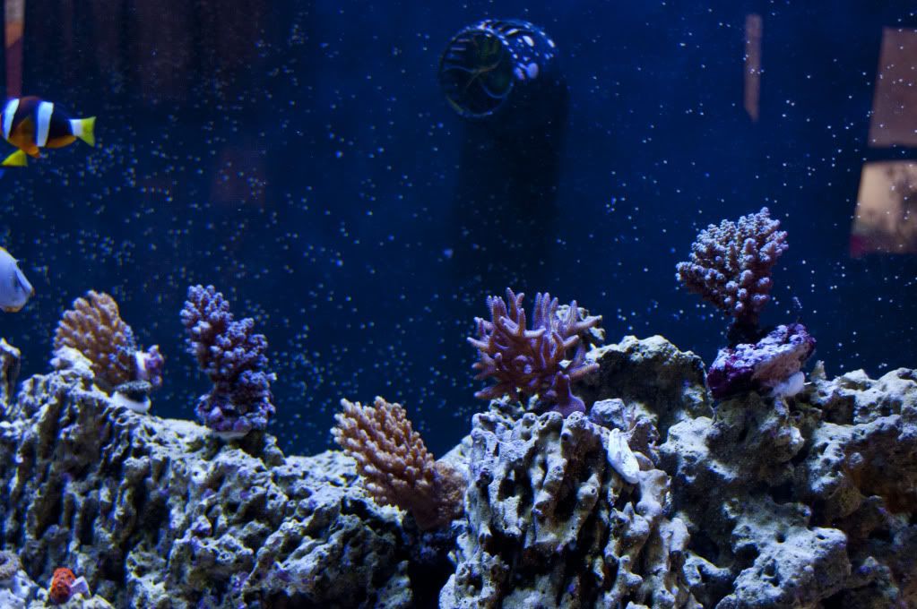 DSC_0362.jpg