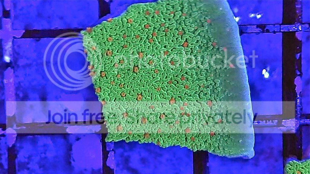 100_0051.jpg