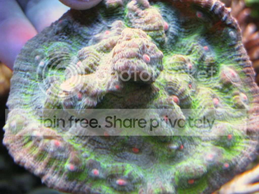 IMG_1087.jpg