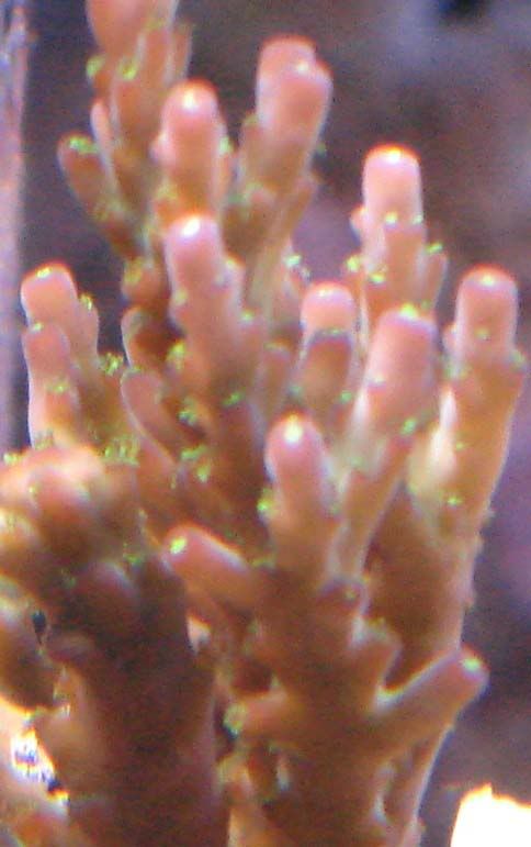 ea35e744.jpg