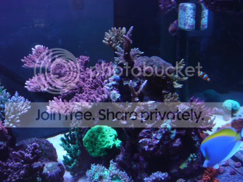 frags021.jpg