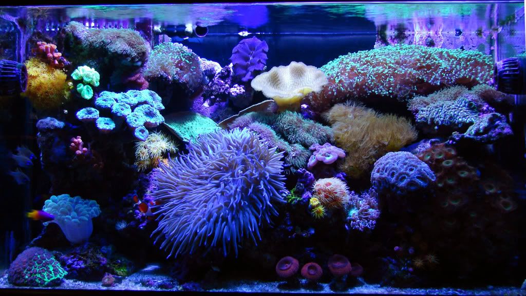 FTS3-6-2012A.jpg