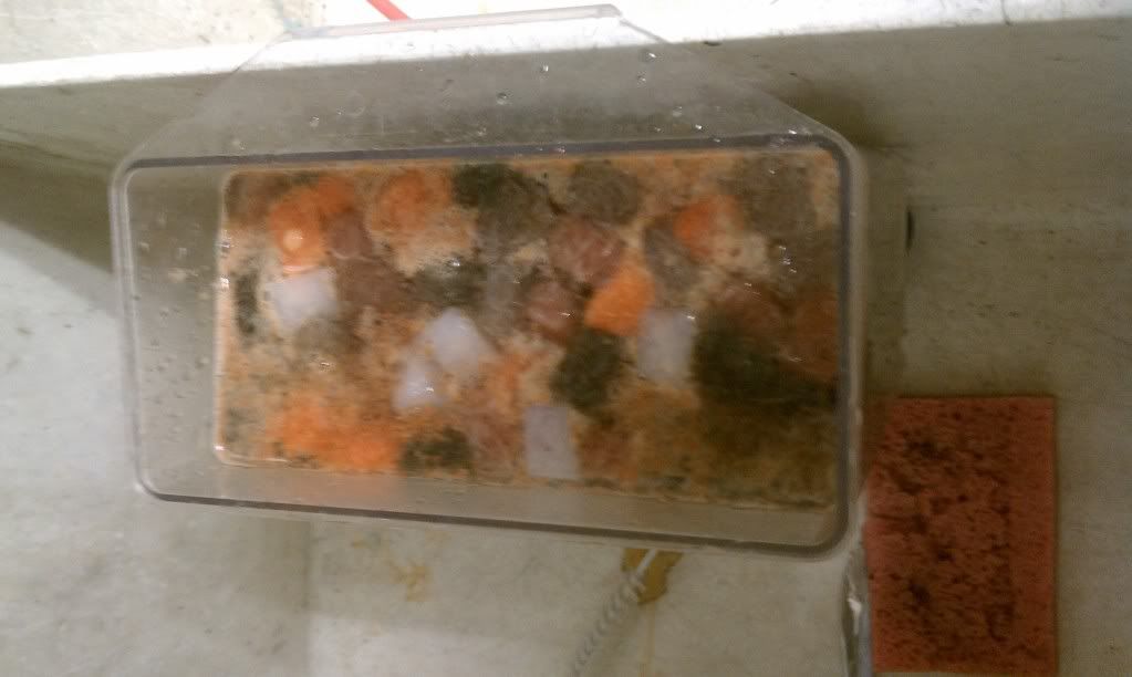 IMAG0718.jpg