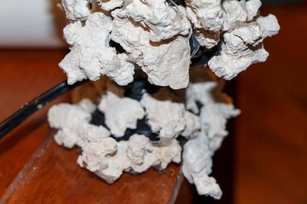 Rock-10_zps5be76154.jpg