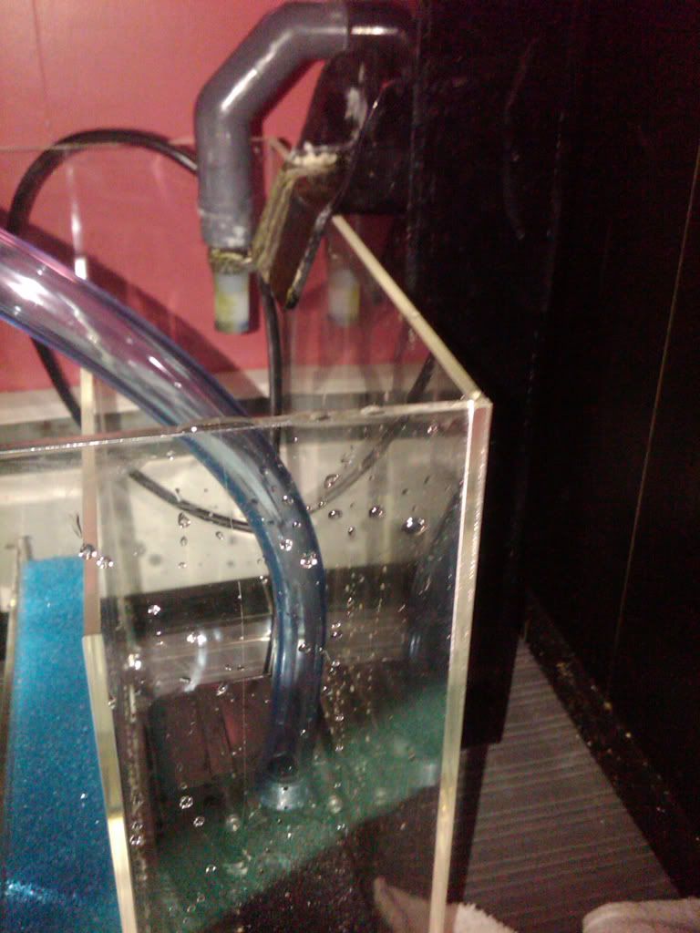 sump2.jpg