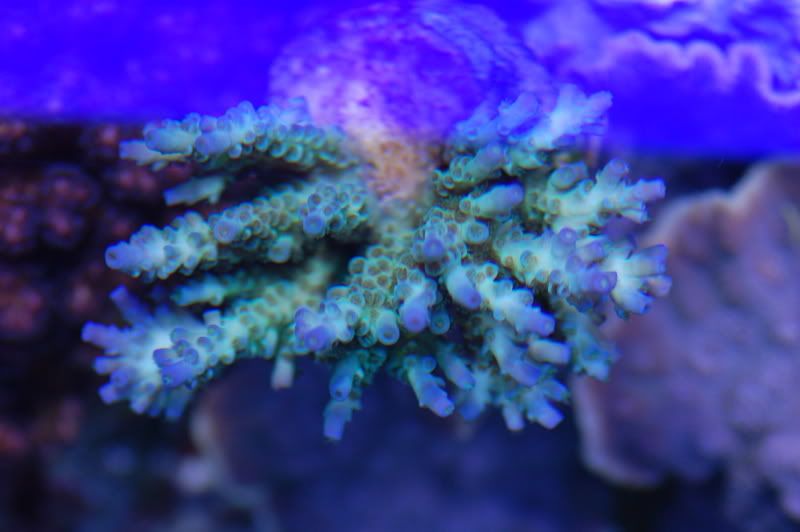 fishstuff10231.jpg