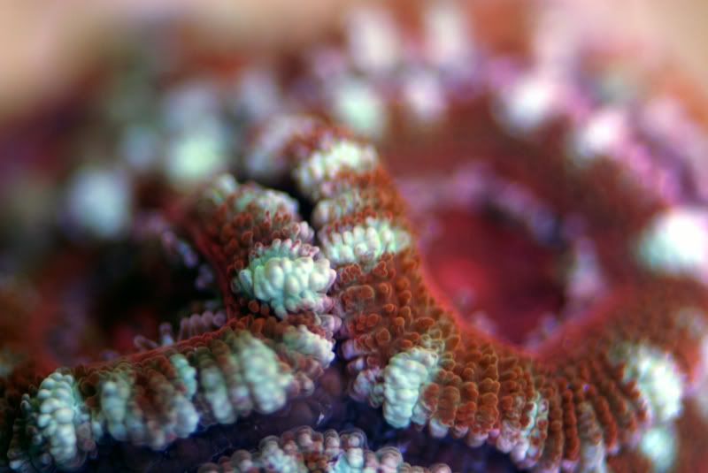 DSC_0018_edited.jpg