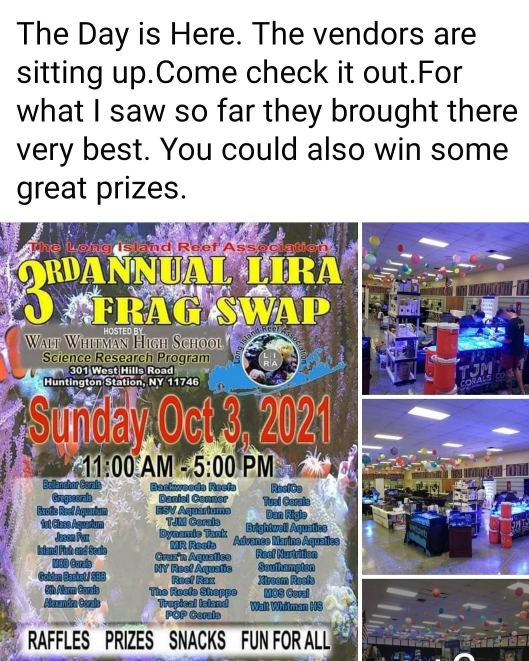 232fc9a2eeeca396d6e5aa2c21d8e765.jpg