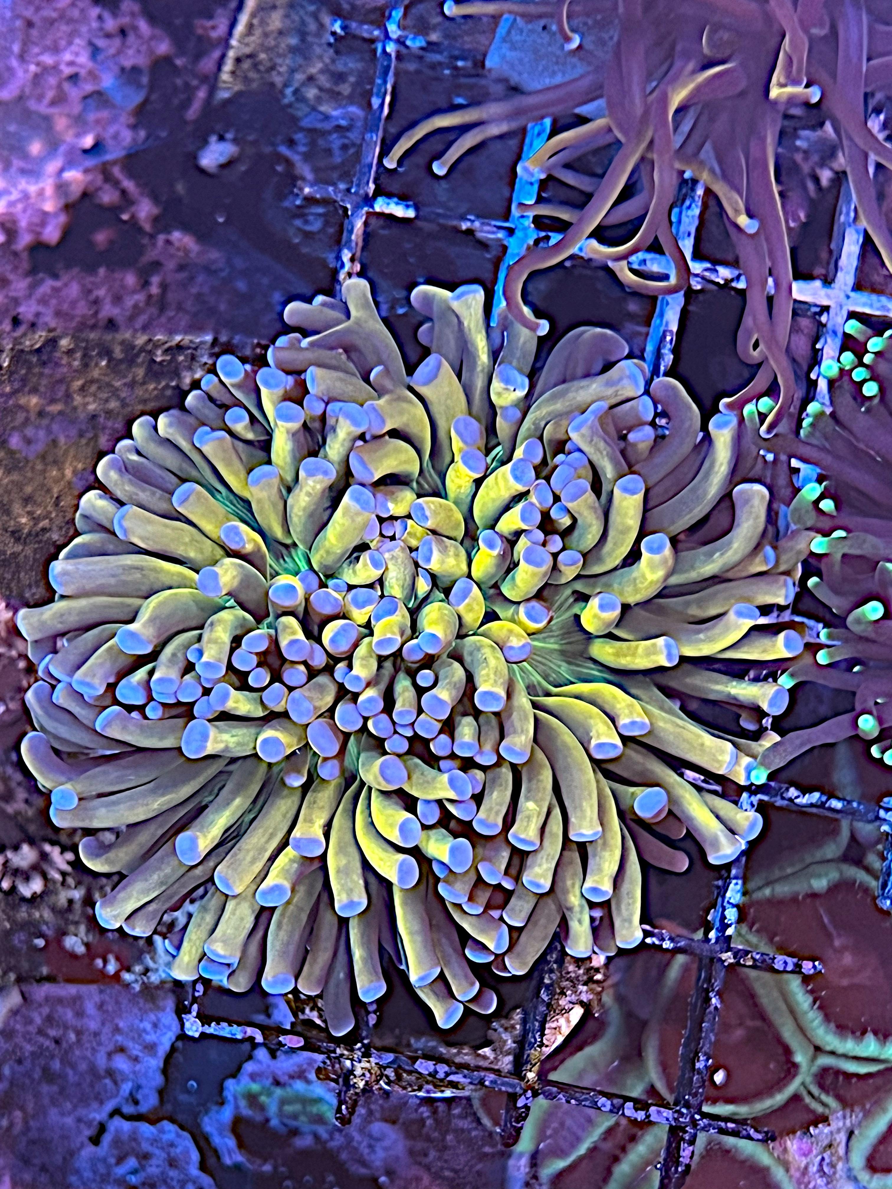 40e29556ae6693a20567a794ef037212.jpg