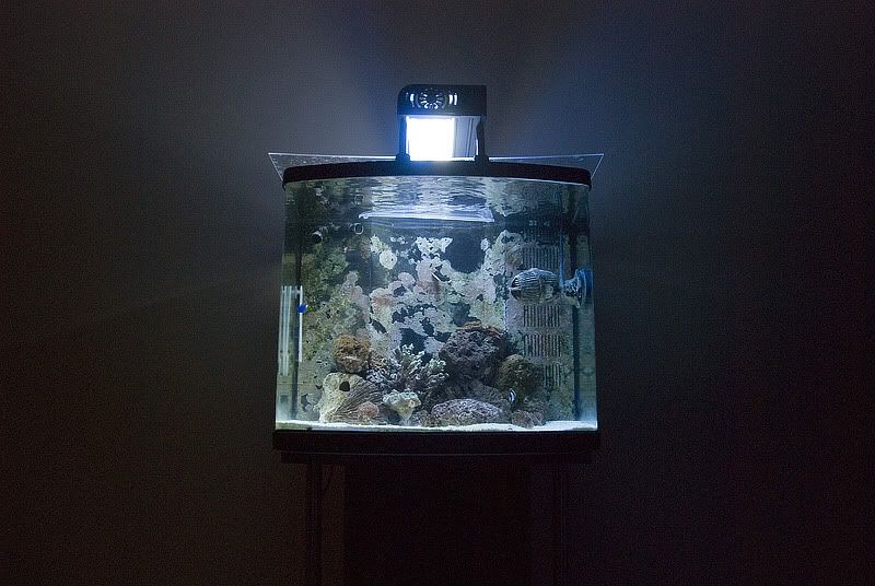 DSC_3745.jpg