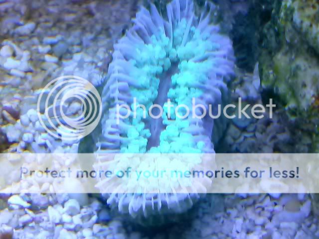 CAM00422.jpg