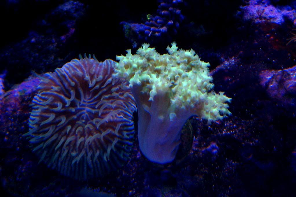 IMAG0298-1.jpg