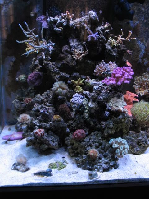 tanksep08049.jpg