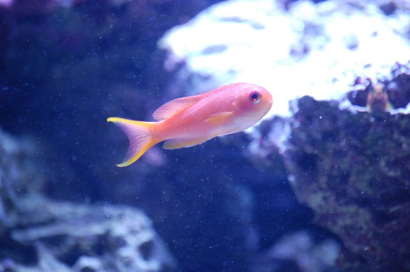 DSC_0282.jpg